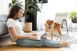 Kaucja za mieszkanie: Zwrot i potrącenia. Czy odzyskasz całość?