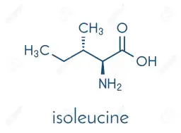 Ile jest liter i w polskim alfabecie? Zaskakujące fakty