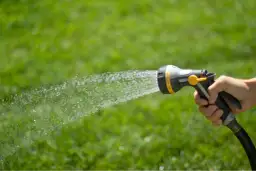 Jak często podlewać trawnik, by uniknąć przesuszenia i strat?
