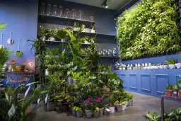 Najlepsze miejsca gdzie można kupić kwietniki - poradnik dla miłośników roślin