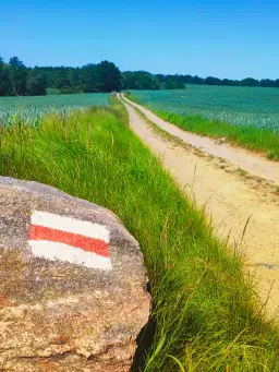 Czy kolory szlaków oznaczają trudność? Odkryj prawdę o trasach