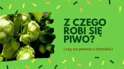Z czego jest piwo? Odkryj składniki, które kształtują jego smak