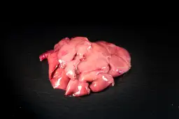 Gdzie kupić wątróbkę z królika? Sprawdź najlepsze miejsca i oferty