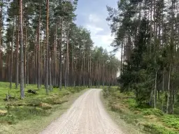 Najlepsze atrakcje w Dziemianach, które musisz zobaczyć na wakacjach