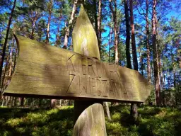 Rezerwat przyrody w Polsce opis: poznaj ich niezwykłe tajemnice