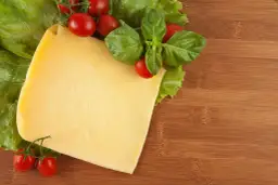 Czy pies może jeść ser? Sprawdź, co musisz wiedzieć o bezpieczeństwie