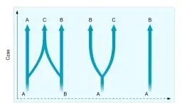 Izolacja geograficzna: Jak bariery tworzą nowe gatunki?