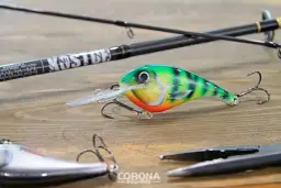 Najlepsza przynęta na suma forum - skuteczne porady wędkarzy