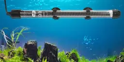 Jak zamontować grzałkę w akwarium - uniknij najczęstszych błędów