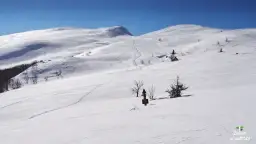 Tarnica zimą: Szlaki otwarte? Sprawdź, jak wejść bezpiecznie!