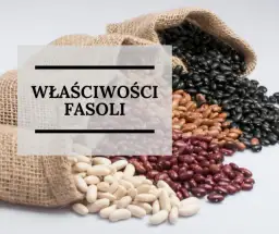 Czy fasola jest dietetyczna? Odkryj jej niesamowite właściwości zdrowotne
