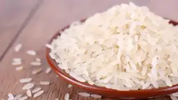 Jaki ryż dla psa? Biały czy brązowy? Ekspert radzi!