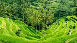 Bali kiedy jechać: odkryj najlepszy czas na wymarzone wakacje