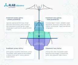 Ból brzucha? Jakie badania wykonać i kiedy szukać pomocy