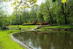 Najlepsze atrakcje w Polach Mokotowskich, które musisz zobaczyć