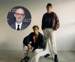 Pionierzy i gwiazdy: Kto tworzy muzykę elektroniczną?