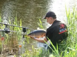 Jak złowić rybę? Przynęty i zanęty poradnik eksperta