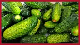 Jak się kisi ogórki małosolne – proste metody na idealne smaki