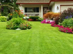 Jak dosiewać trawę na istniejący trawnik, aby uniknąć błędów i uzyskać piękny efekt