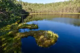 Rezerwat przyrody Tobolinka - tajemnice unikalnego ekosystemu i atrakcje