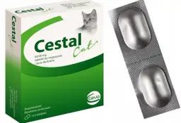 Jak skutecznie odrobaczyć kota - najlepsze metody i preparaty