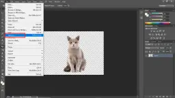 Usuń tło ze zdjęcia na białe: Szybko i profesjonalnie