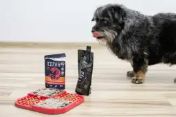 Czym smarować matę do lizania? Bezpieczne pomysły dla Twojego psa