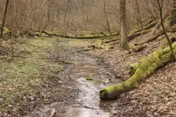 Rezerwat przyrody Dolina Potoku Rudno – tajemnice natury i atrakcje