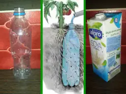 Jak zrobić podlewanie z butelki, aby uniknąć przesuszenia roślin