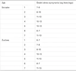 Ile zębów ma człowiek? Od mleczaków po ósemki wszystko, co musisz wiedzieć