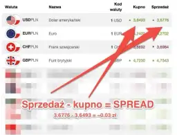 Czy można kupić walutę w NBP? Co musisz wiedzieć o wymianie walut