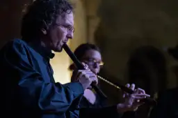 Multiinstrumentalista - artysta grający na wielu instrumentach