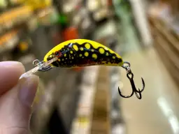 Skuteczne przynęty na pstrąga: Co wybrać? Poradnik eksperta!