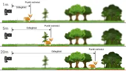 Ilustracja pokazuje, jak preselekcja przysłony wpływa na głębię ostrości. Przy 1m ostry jest piesek, przy 5m piesek i drzewko, a przy 20m ostry jest piesek i las.