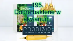 Jak prawidłowo i skutecznie dolewać bakterie do akwarium - kompletny poradnik