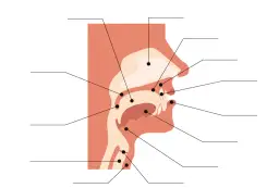 Głoski w języku polskim: Klucz do zrozumienia mowy i pisowni
