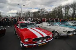 Oto wszystkie miejsca, w których odbędzie się zlot mustangów - aktualna lista