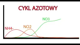 Ile dojrzewa akwarium? Kluczowe czynniki wpływające na czas cyklu