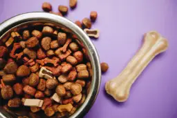 Brit czy Royal Canin dla szczeniaka? Porównanie składu i ceny