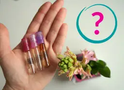 Gdzie kupić próbki perfum? Sprawdź najlepsze miejsca i oferty