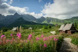 Kasprowy Wierch: Wybierz idealny szlak dla siebie i rodziny!