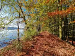 Najlepsze trasy rowerowe w Dolnym Śląsku - odkryj ukryte perełki