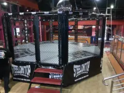 Jak wygląda klatka rzymska? Zaskakujące detale i wymiary areny MMA