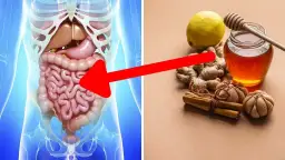 Przepisy na zdrowe jelita, które poprawią twoje trawienie i samopoczucie