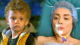 Zranione ptaki ile odcinków w Polsce? Oto zaskakujące szczegóły