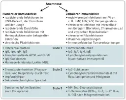 Die wichtige Rolle der Immundefekt Diagnostik im Gesundheitswesen