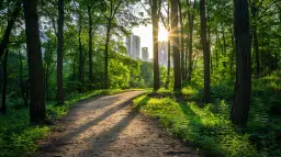 Echa Leśne Warszawa - znajdź spokój w zgiełku stolicy Polski