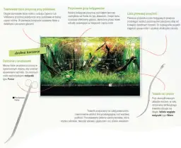 Jak prawidłowo przycinać rośliny w akwarium - Poradnik pielęgnacji roślin akwariowych