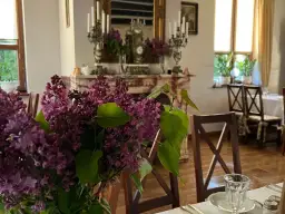 Gdzie zjeść w Drohiczynie? Odkryj najlepsze restauracje i smaki