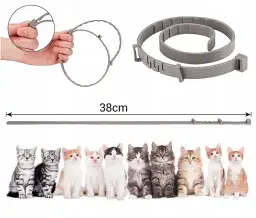 Obroża na pchły dla kota od kiedy? Sprawdź, aby nie zaszkodzić kociątom